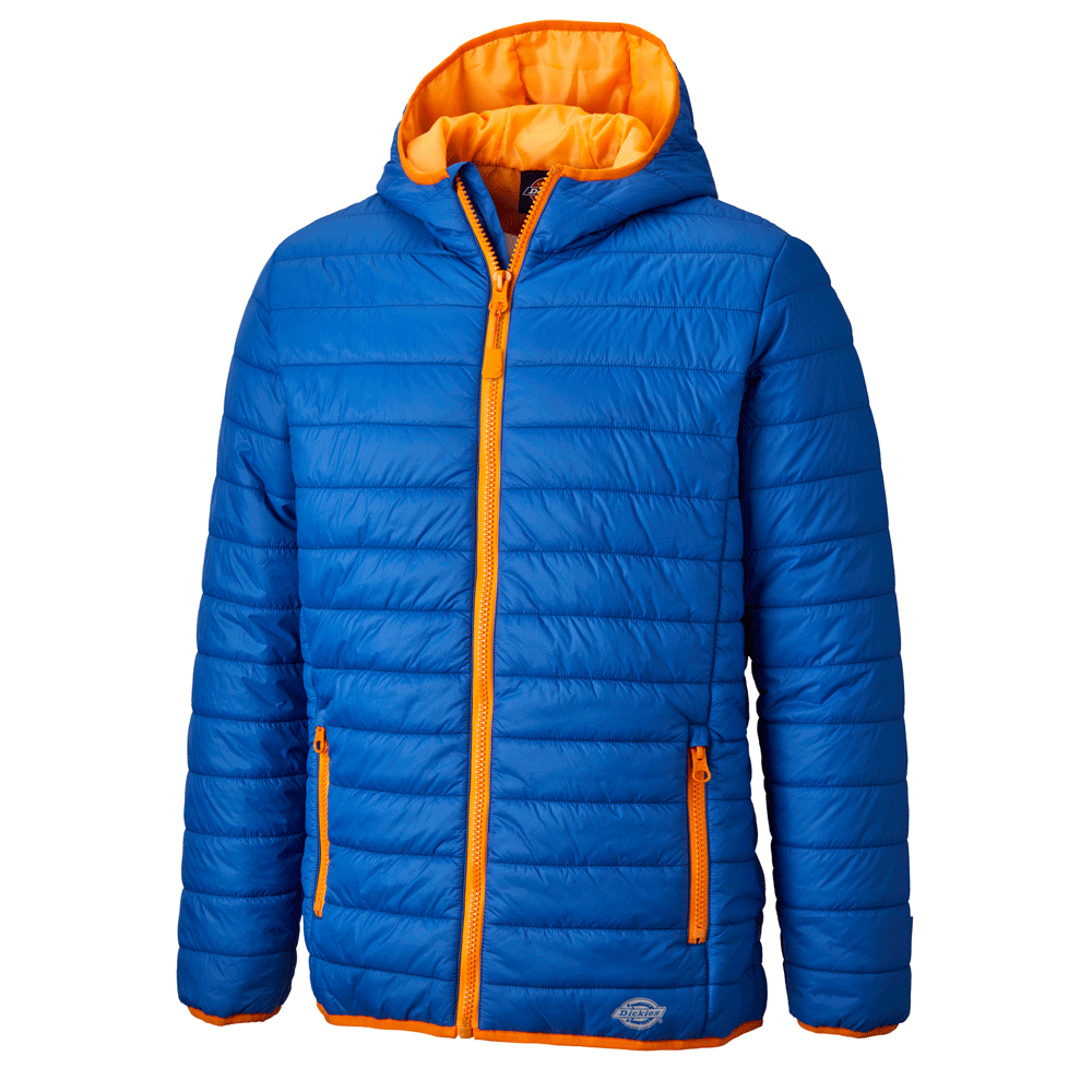 Dickies DT7024 22 Stamford Puffer Jacket Royal Blue/Orange Large
