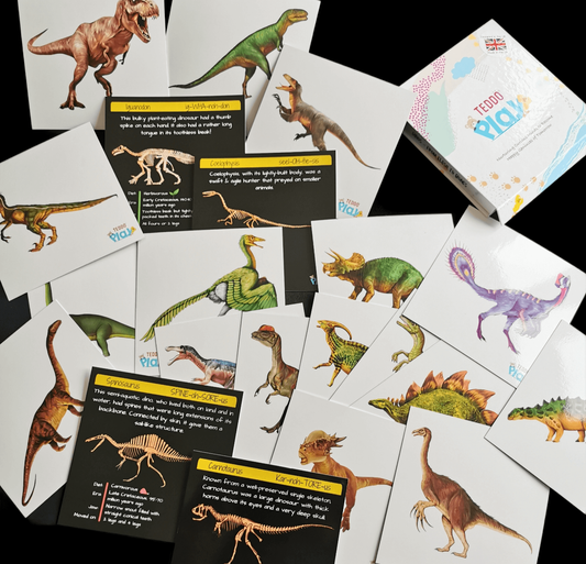 Teddo Play - Dinosaurs From Flesh to Bones Learning Cards Set