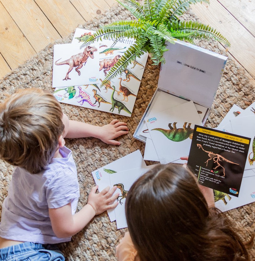 Teddo Play - Dinosaurs From Flesh to Bones Learning Cards Set