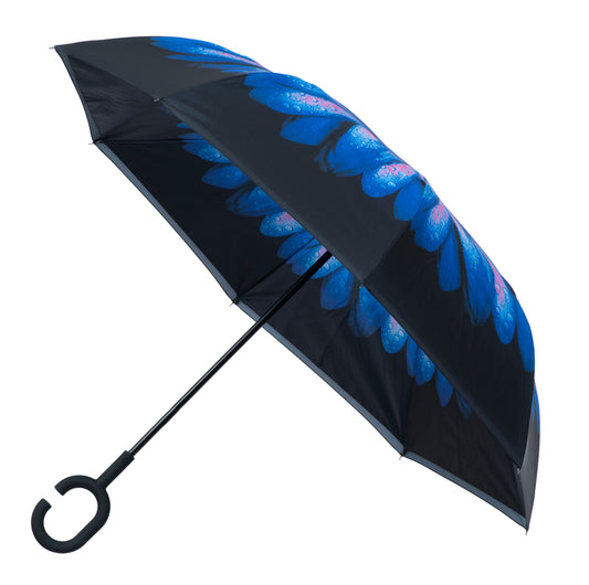 Everyday Inside Out Blue Daisy Stick