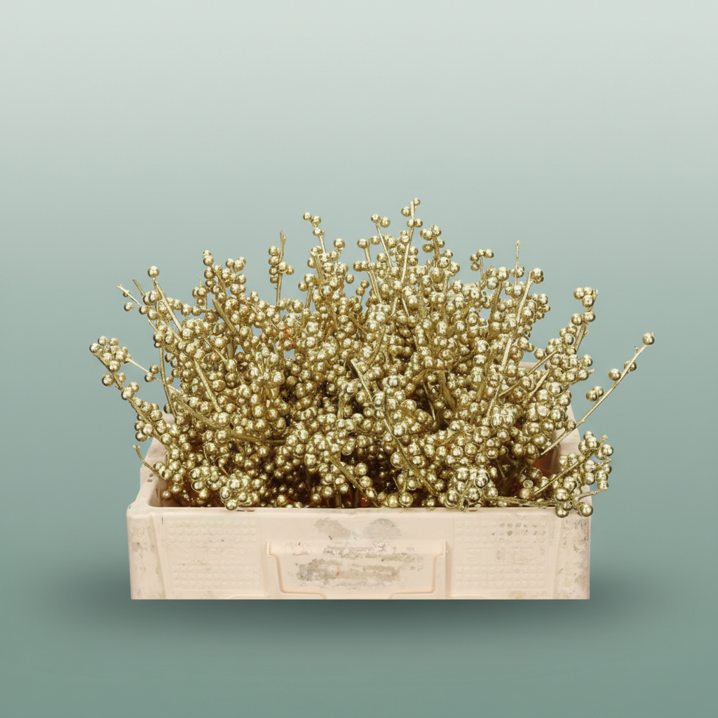 Wax Ilex Xl