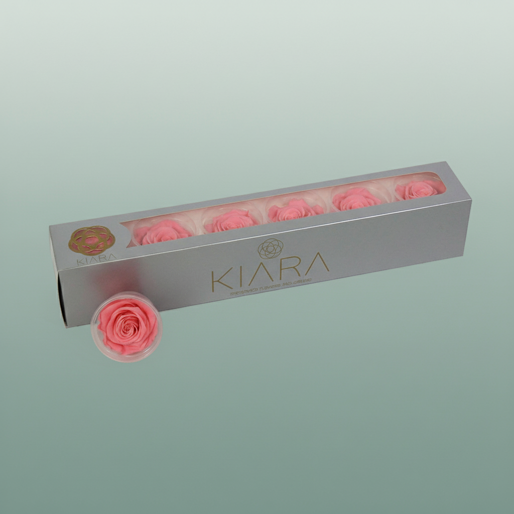 Rose Preserved Baby Pink