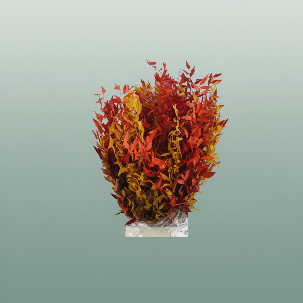 Pres Ruscus Herfst