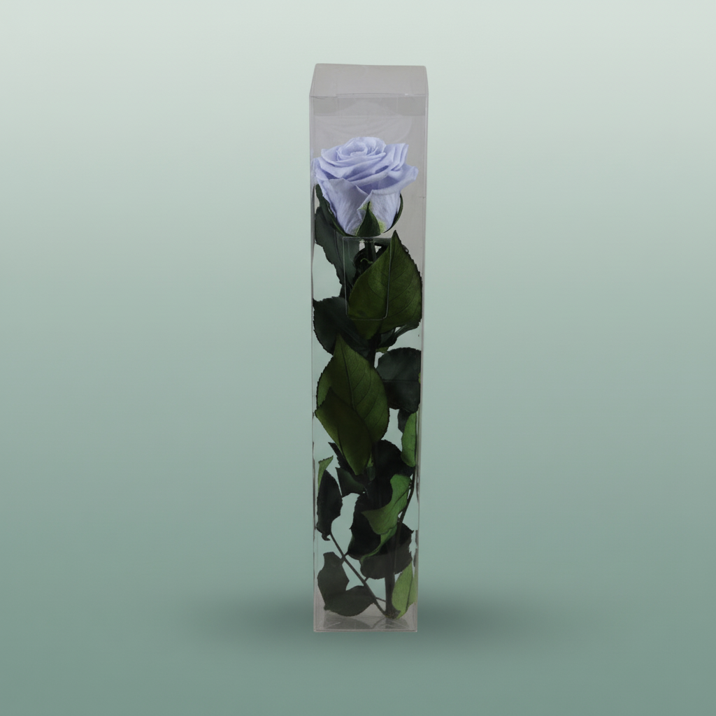 Rose Preserved Stem Lavender