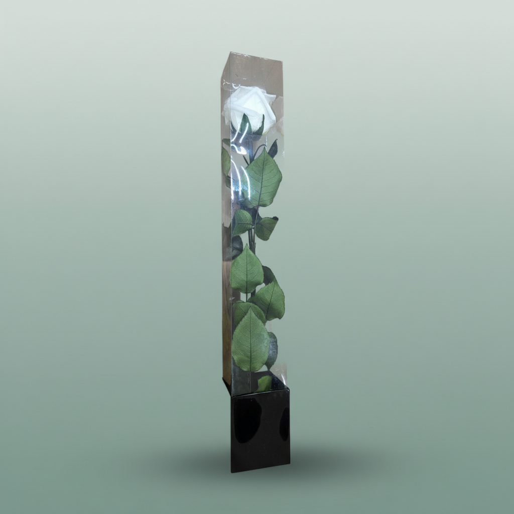 Rose Preserved Stem White