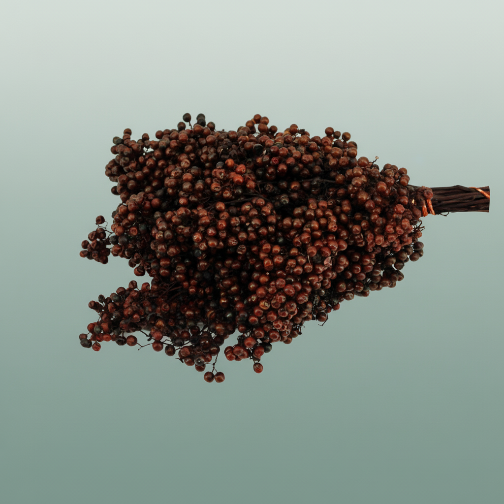 Schinus M Pt Brown