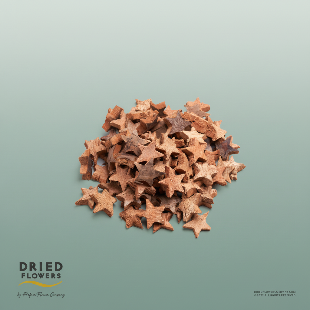Dried Deco Coconut Star Natural