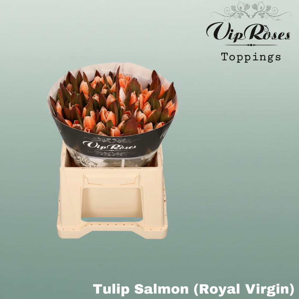 Tulip Dyed Salmon