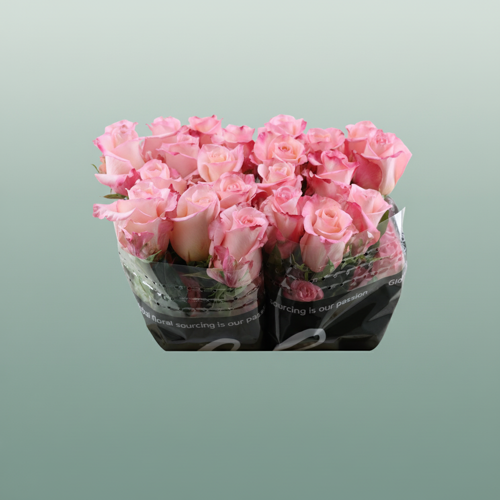 Rose Rhoslyn