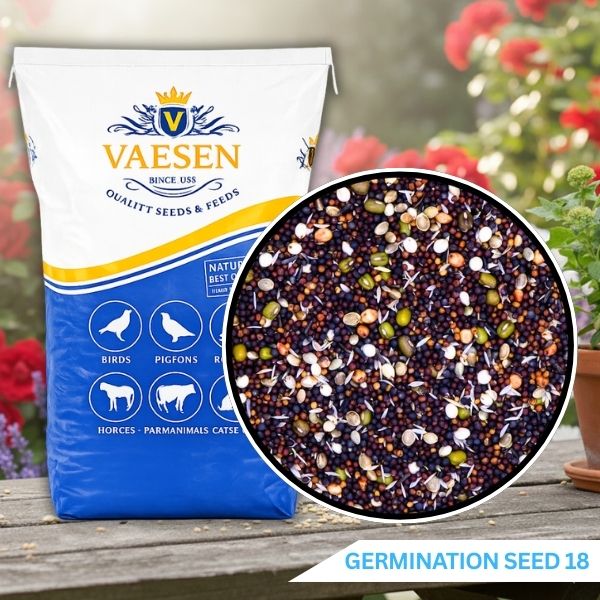 Vaesen Germination Seed Canary & European + Rapeseed - 18