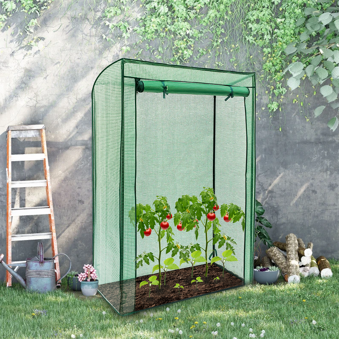 Tomato Greenhouse Frame & Cover