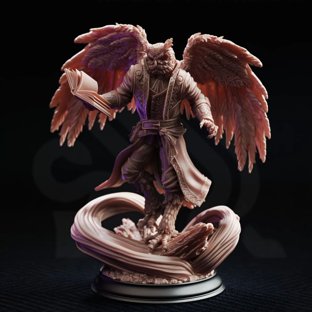 Hoover Brightfeather Student of Evocation - 3D Printed Wizard Miniature