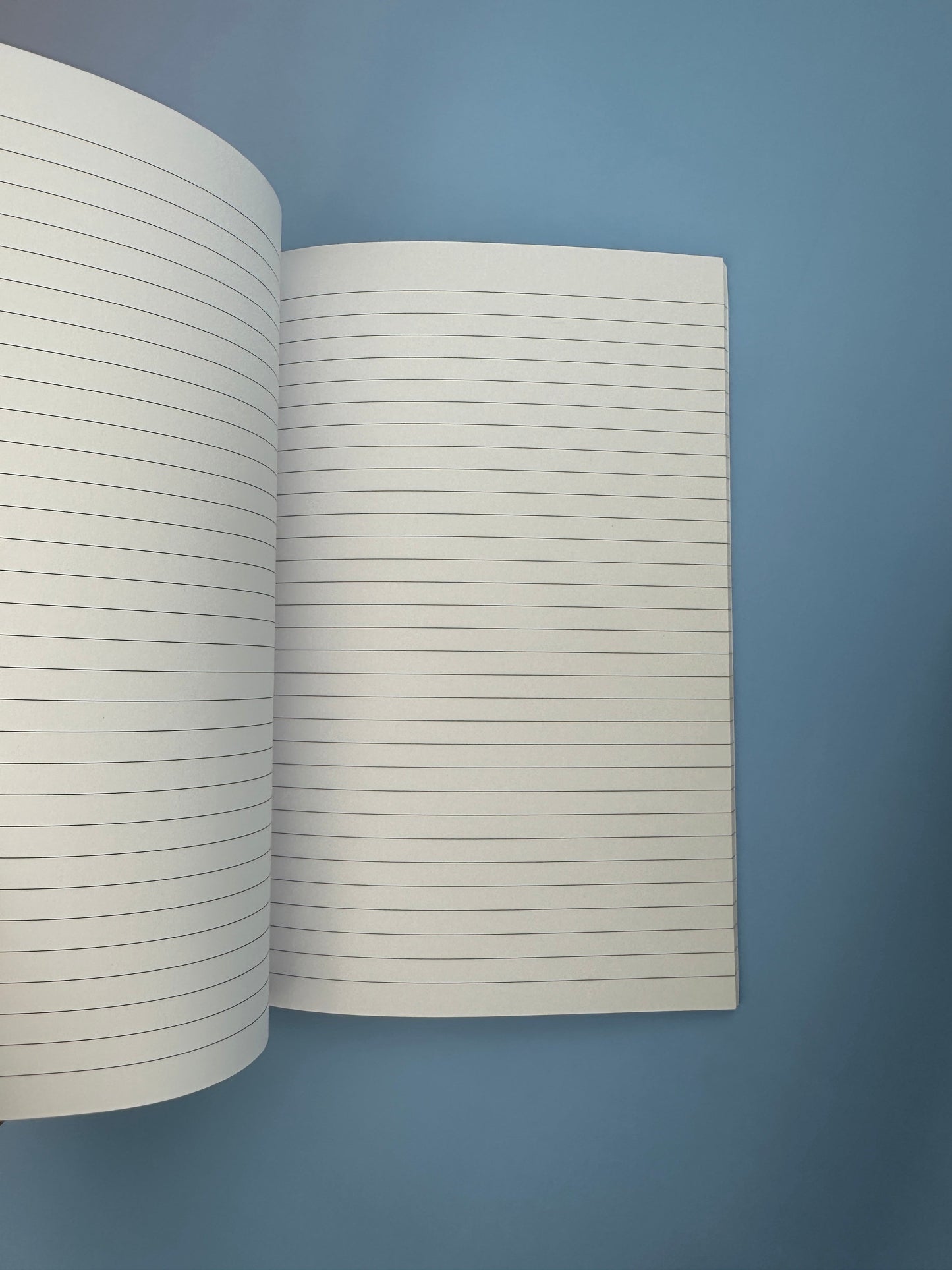 Manifestation notebook