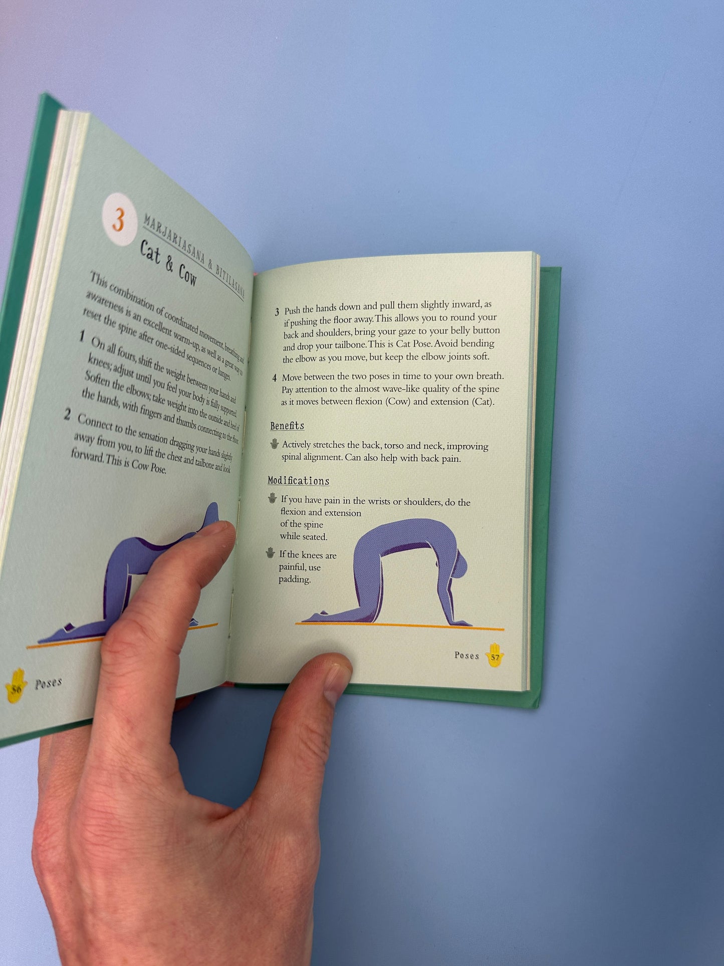 The Little Book of Yoga