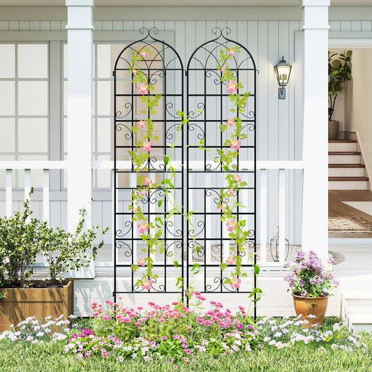 2 Pack 50 x 218 cm Metal Garden Trellis for Outdoor Climbing Plants