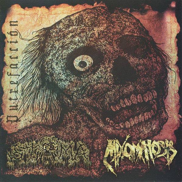 Stoma / Mixomatosis - Putrefacción Split