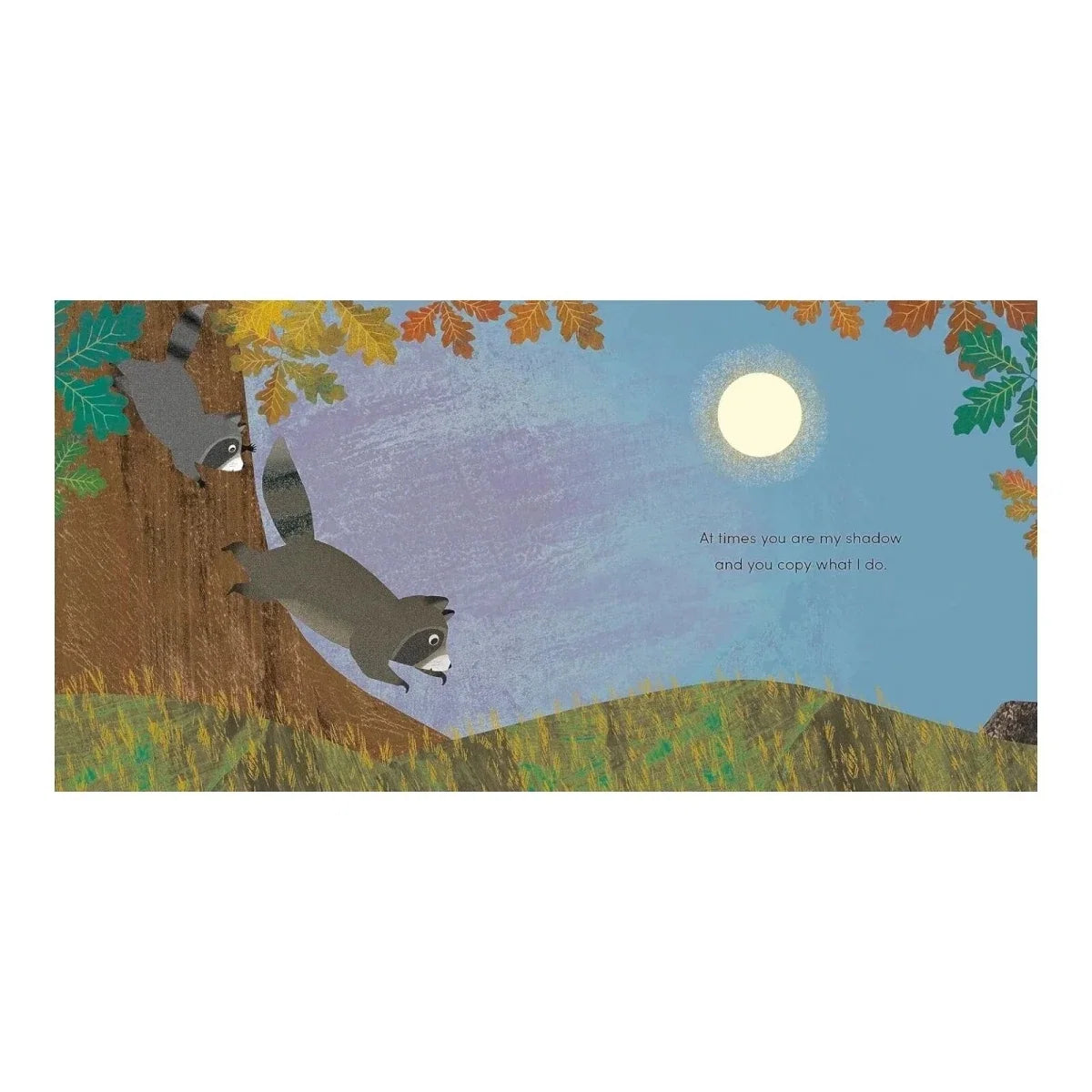 Nosy Crow When I Became Your Sister