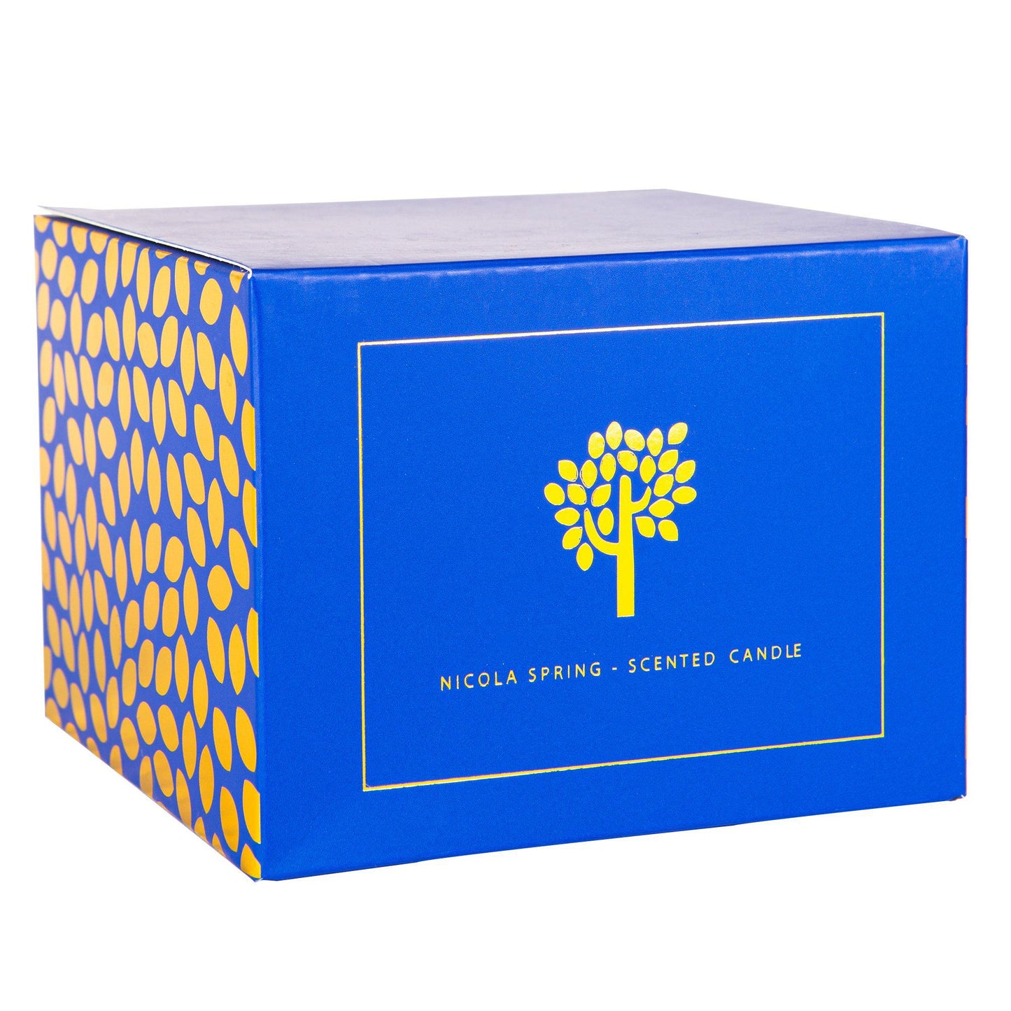 350g Double Wick Sage & Seasalt Soy Wax Scented Candle