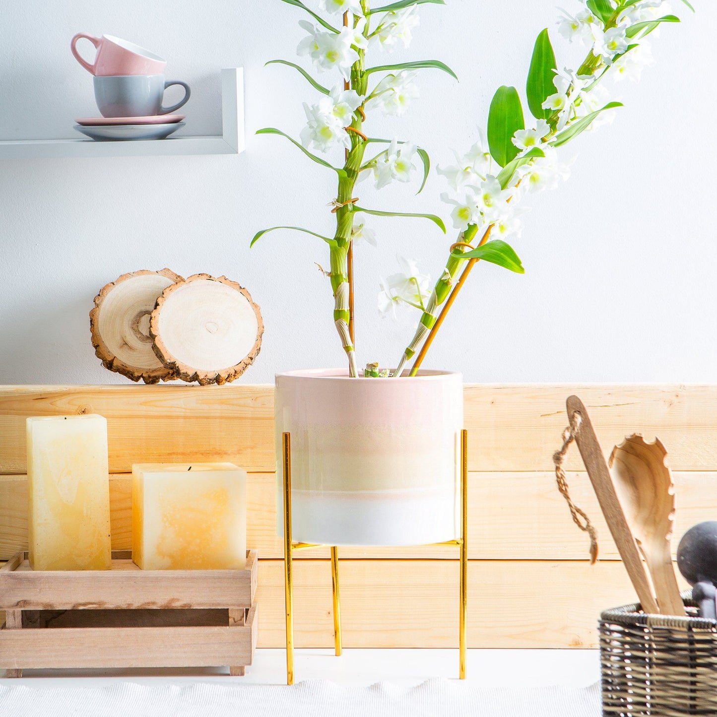 Plant Pot Stand