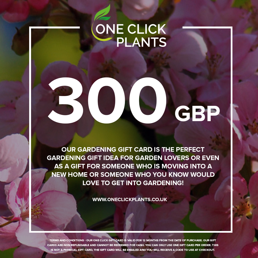 One Click Plants Gardening Gift Card from £25 to £300
