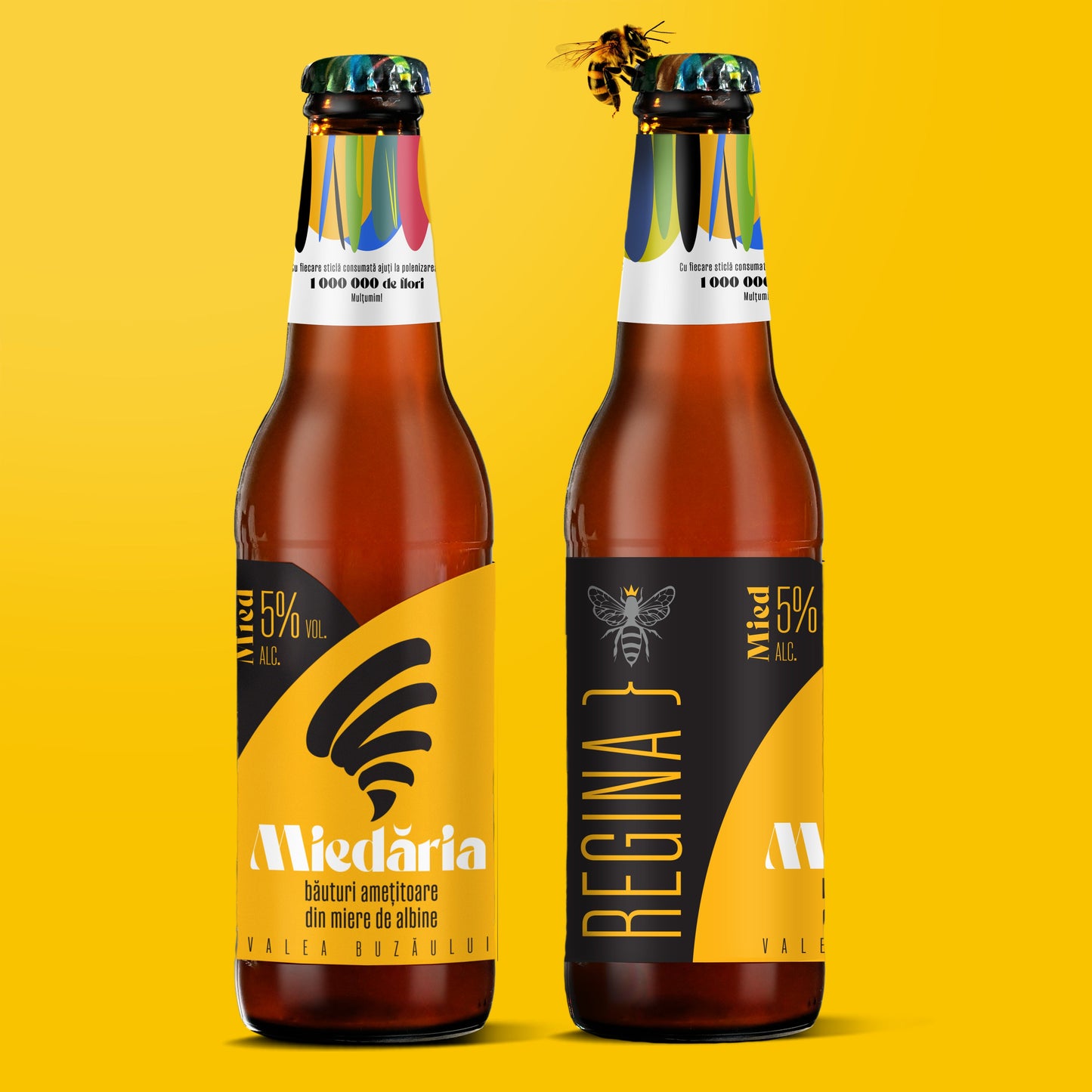 Queen Craft Mead (Mied Regina) Honey Beer by Miedaria 4x330ml 5% ABV