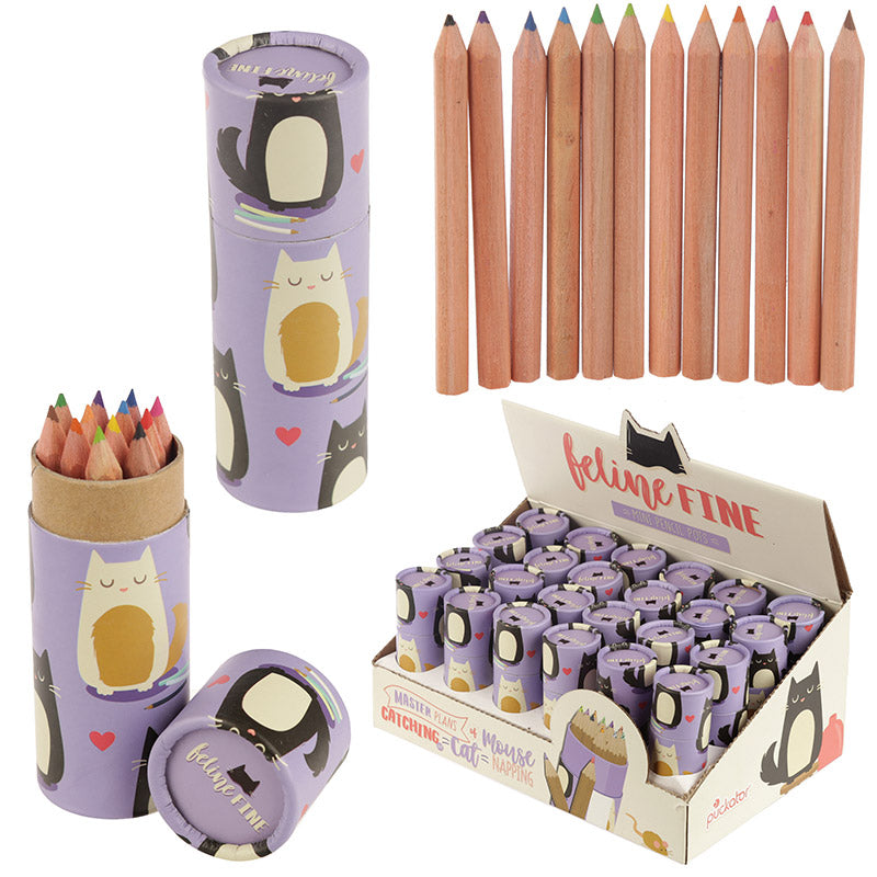 Colouring Pencil Tube - Feline Fine Cat