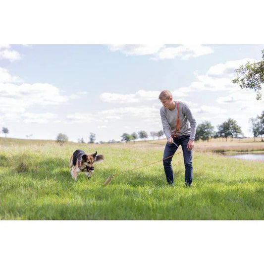 Trixie Lure Rod for Dogs