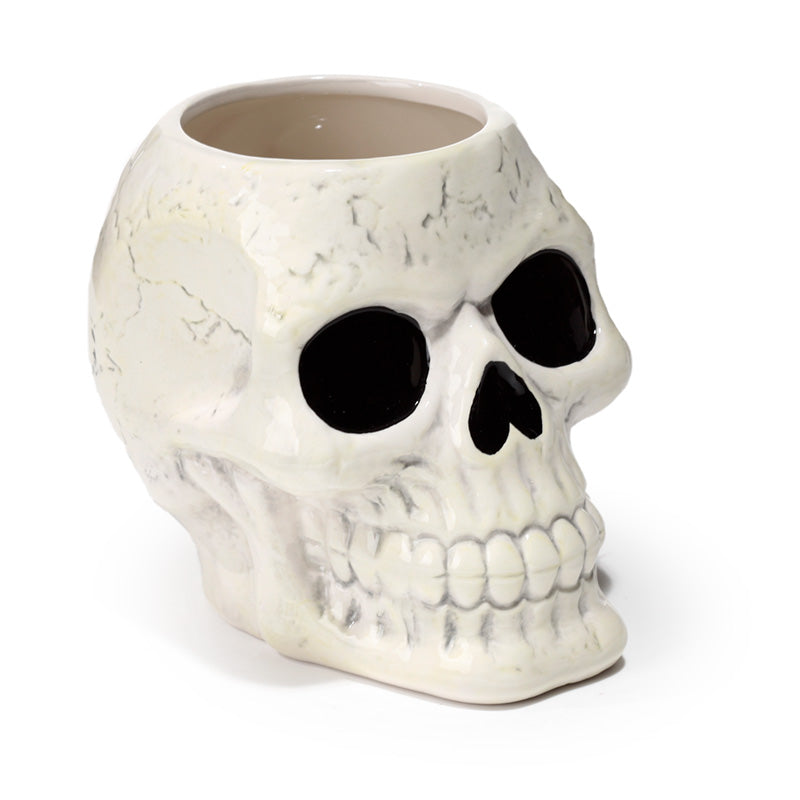 Shaped Ceramic Garden Planter/Plant Pot - Ancient Skull
