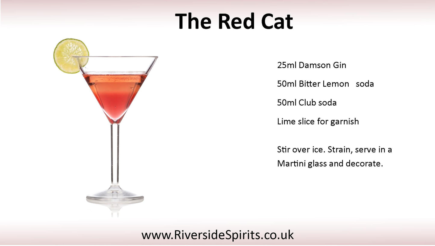 Damson Gin