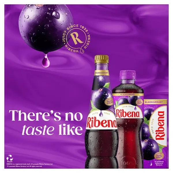 Ribena Blackcurrant Juice Drink 500ml (Case of 12)