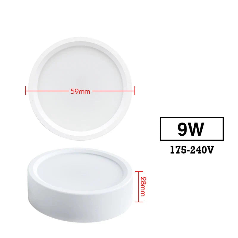Led 220V Ceiling Downlights