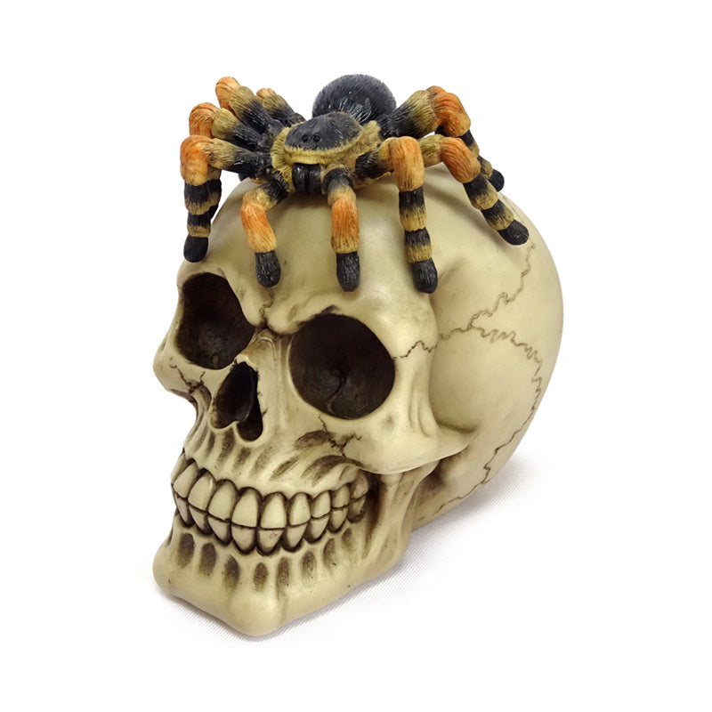 Skull with Spider