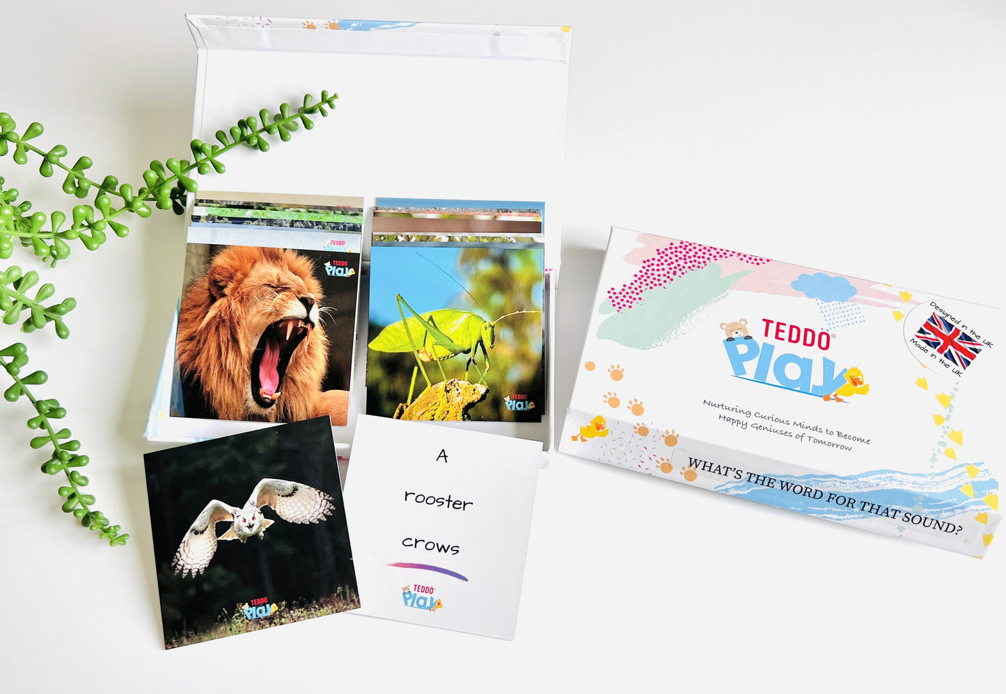 Teddo Play - What's the Word for That Sound Learning Cards Set