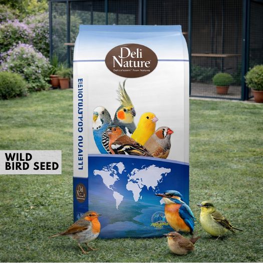 Beyers Deli Nature 94 Wild Bird Seed 1kg/15kg