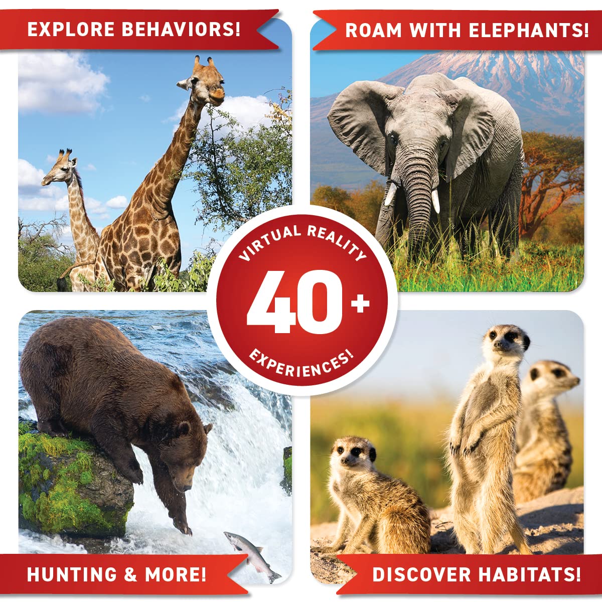 Abacus Brands Virtual Reality Animals Gift Box — Interactive VR Book & STEM Kit (Ages 8+)