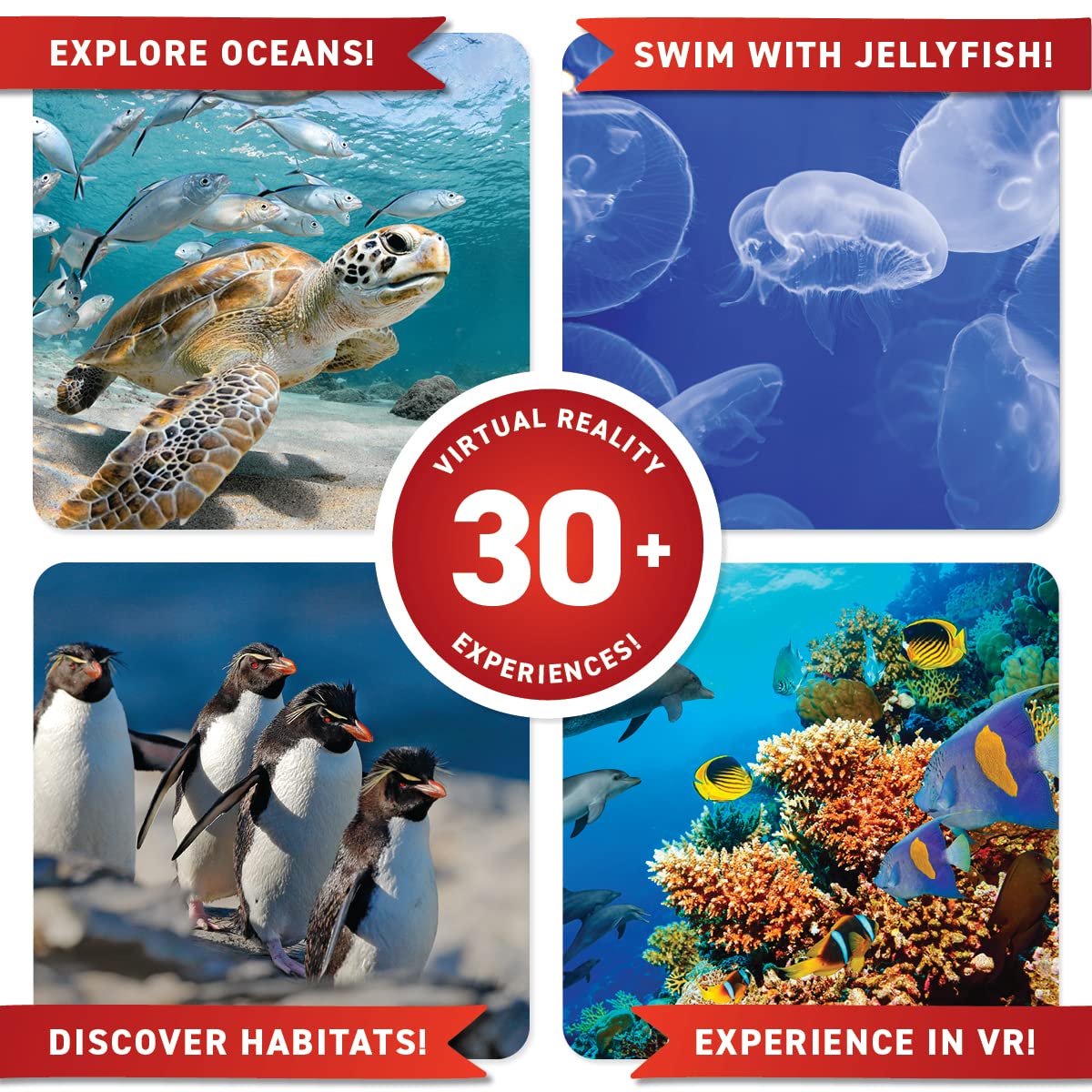 Abacus Brands Virtual Reality Oceans Gift Box - Interactive Ocean VR Book & STEM Activity Set (Ages 8+)