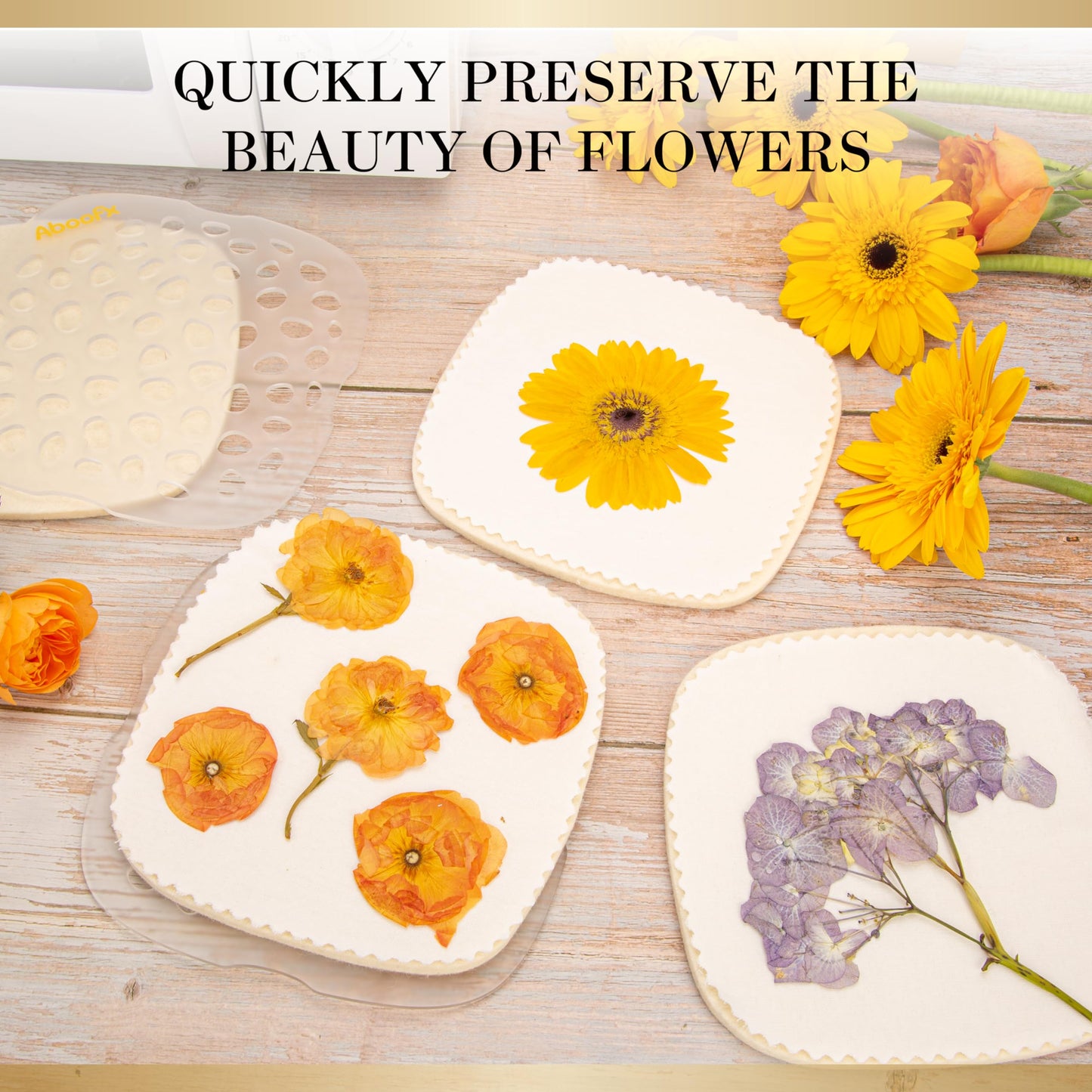 Aboofx Microwave Flower Press 6.3-Inch | 3-Layer Quick-Dry Kit for DIY Flower Art