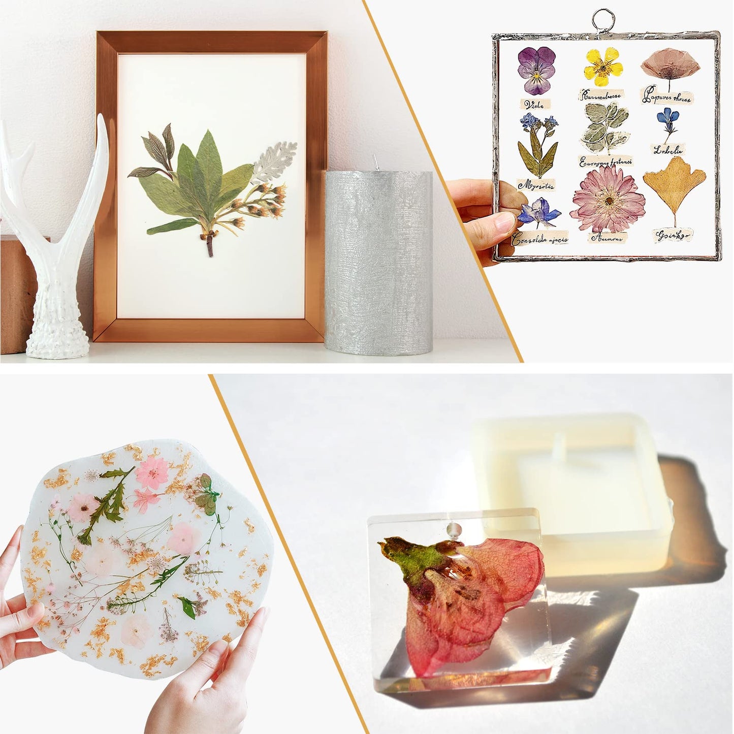 Aboofx Microwave Flower Press Kit - Fast Drying & Vibrant Dried Flowers for Craft Fans