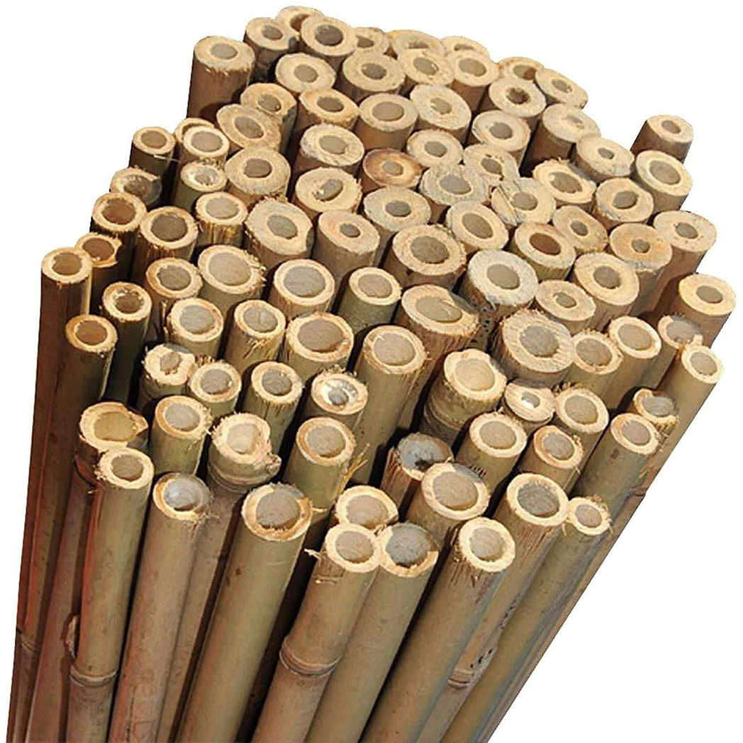 10 x 5FT Bamboo Canes 150 CM