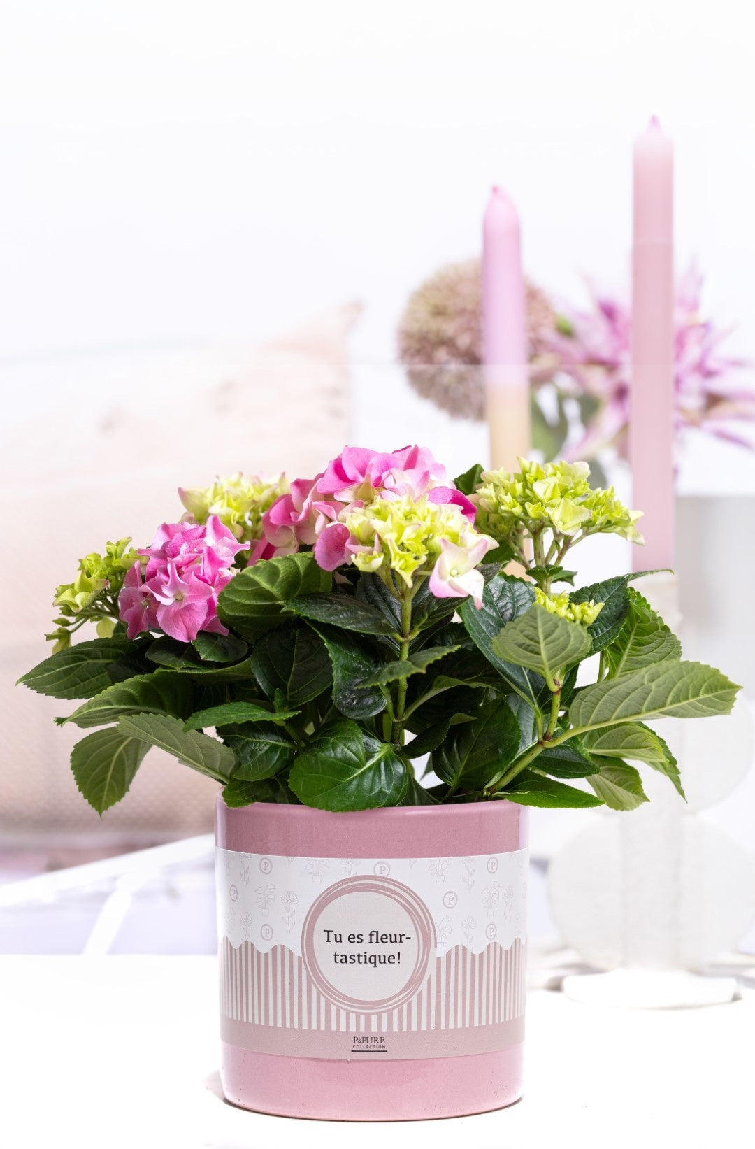 Hydrangea M Early Rosa 2+ Keramiek Tu Es Fleurtastique