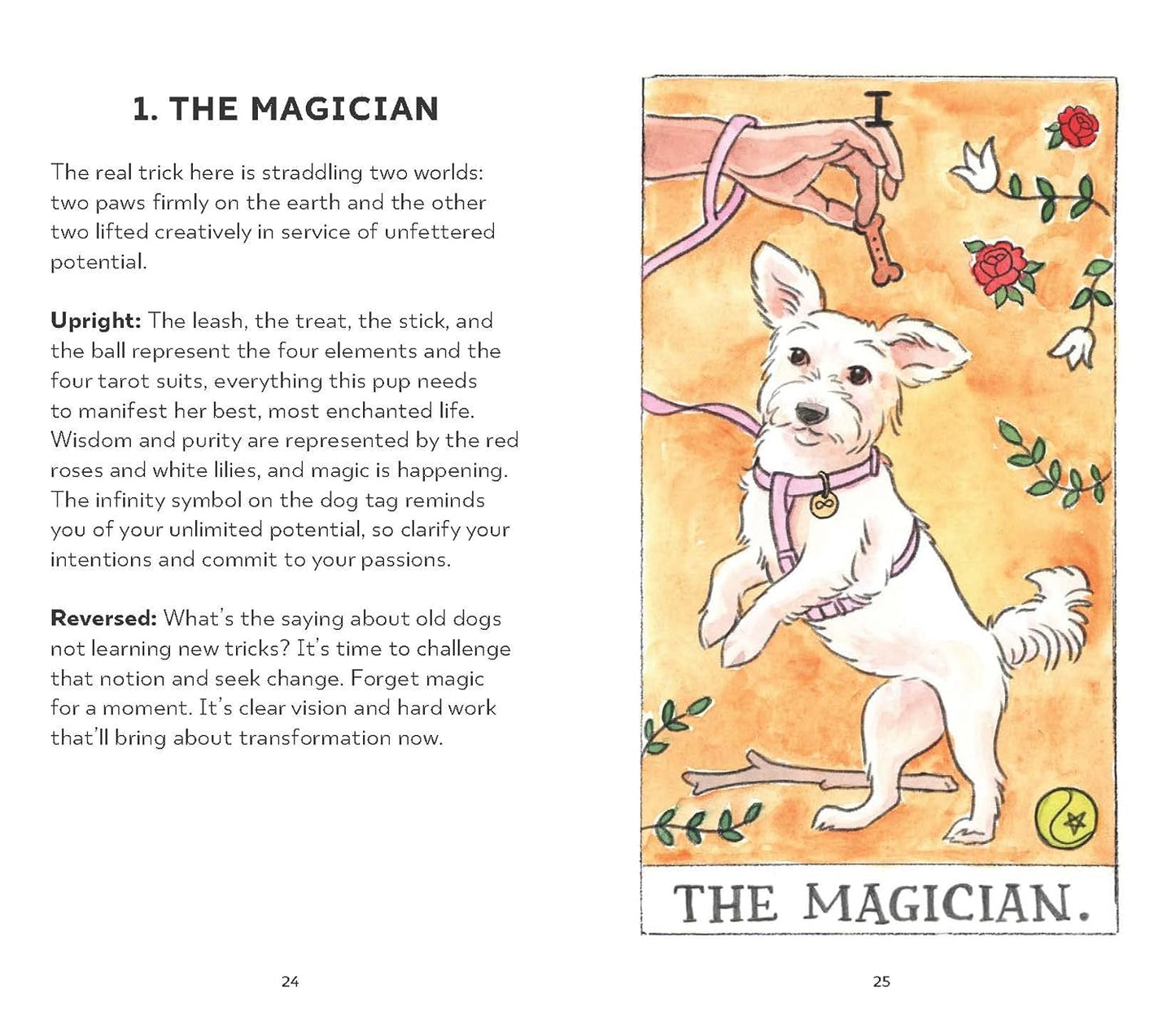 Dog Tarot: 78 Cards and Guidebook