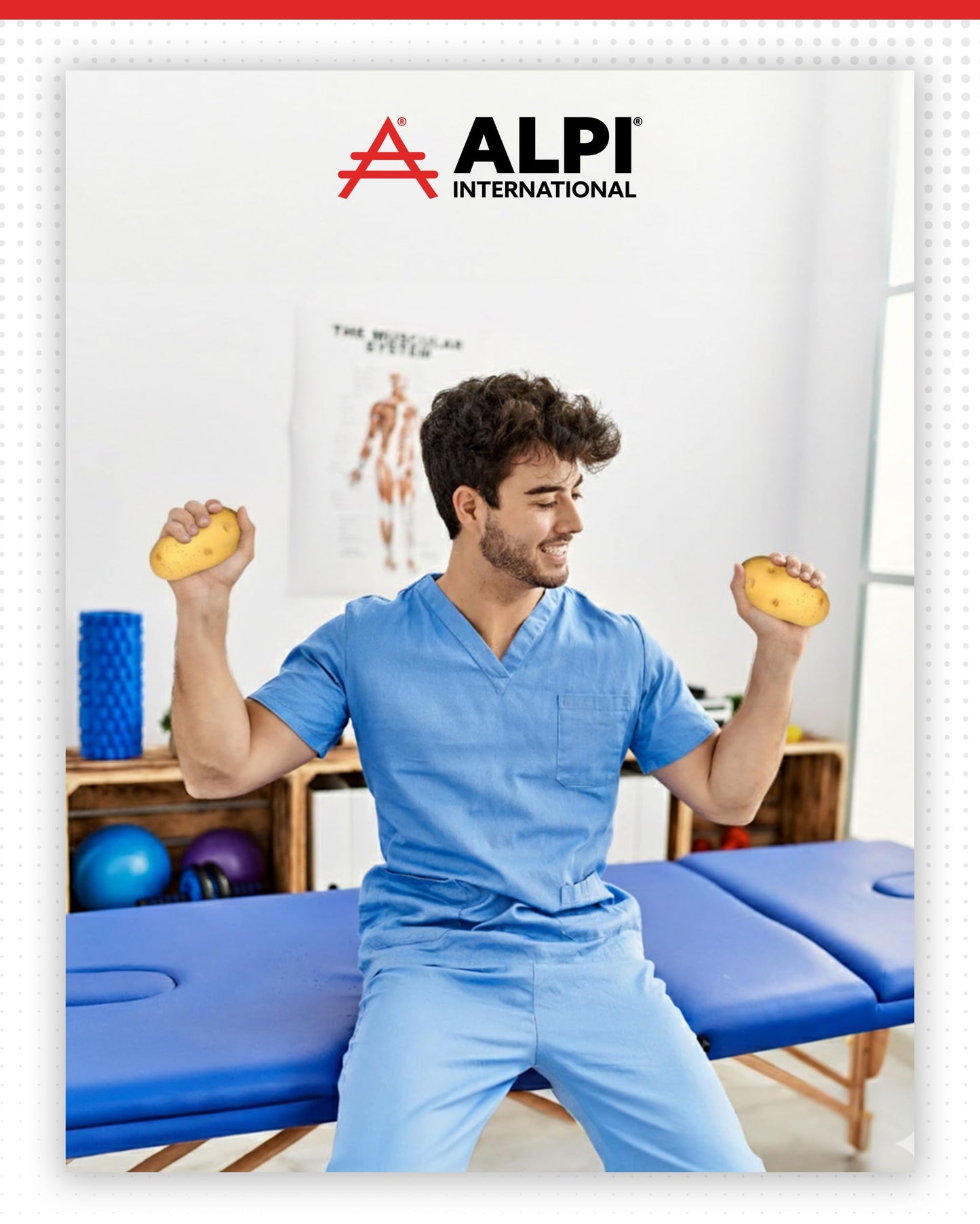 ALPI Potato Squishy Toys – Soft Squeeze Stress Ball for Adults | Funny Home or Office Gift
