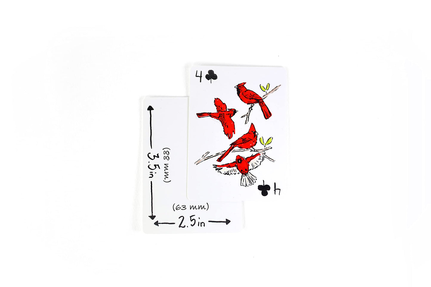 Apostrophe Games Blank Playing Cards – 180 Poker-Size DIY Card Deck, Matte Finish