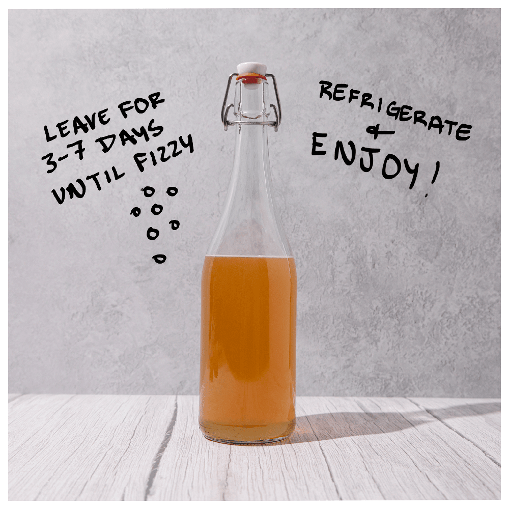 Big Blighty Baby Kombucha Starter Kit (to make 3L)