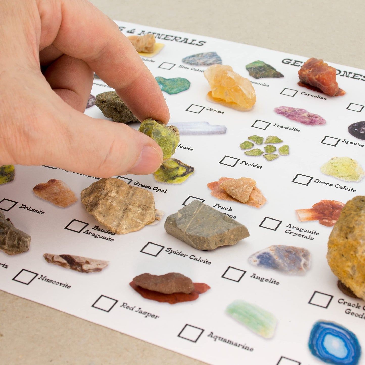 Boone's Mill Gemstone Paydirt • 5 lb Gem Mining Rough Stone Mix + Fossil Guide
