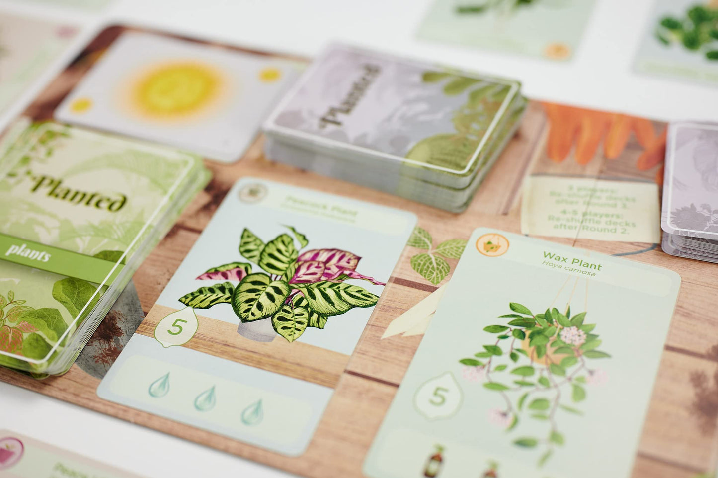 Buffalo Games Planted – Family Plant Care Board Game (2-5 players)