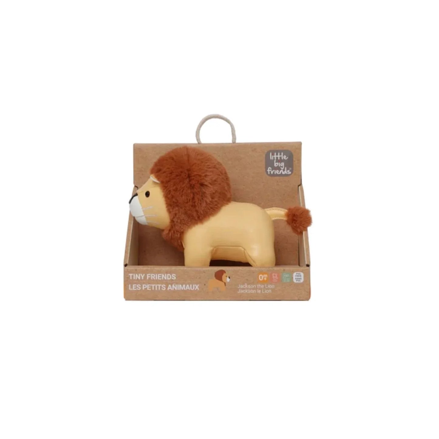 Little Big Friends Jackson the Lion