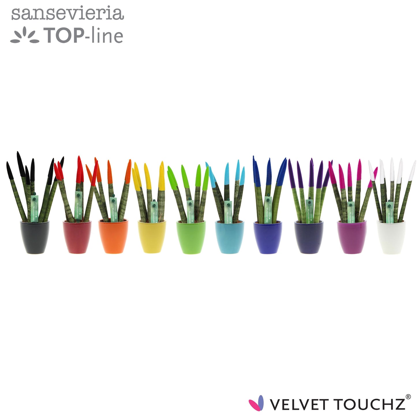 Sans Cyl Velvet Touch Gemengd Keramiek Osaka