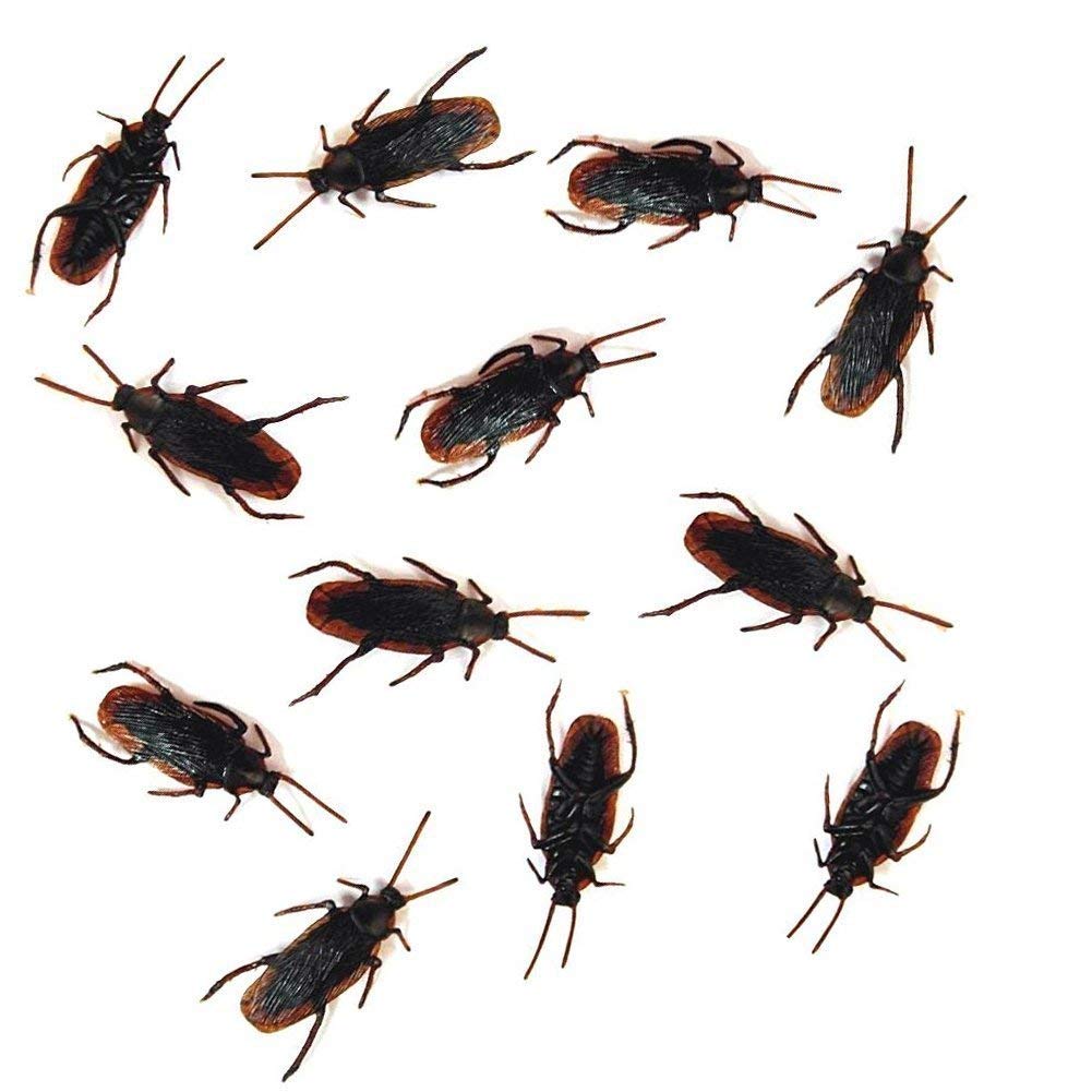 Cooplay 30pcs Fake Roaches Prank Cockroaches – Real-Look Black Insects for Parties & Halloween