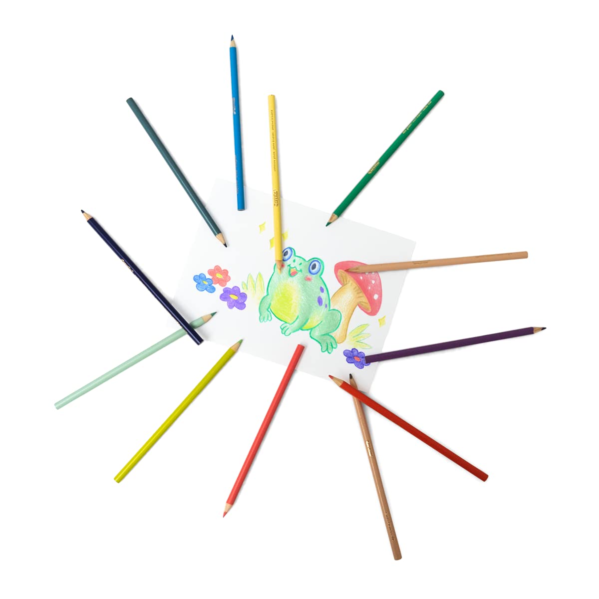 CRAYOLA Pastel Coloured Drawing Pencils – 12 Pack, Pre-Sharpened, Eco-Friendly